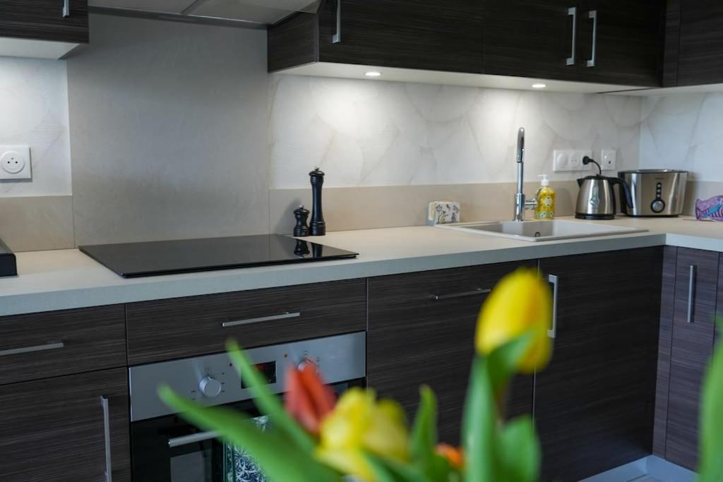 Le Saint Val 004, Appart. Neuf, Jardin, Parking ภายนอก รูปภาพ